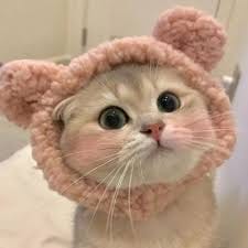 Sitor Situmorang avatar